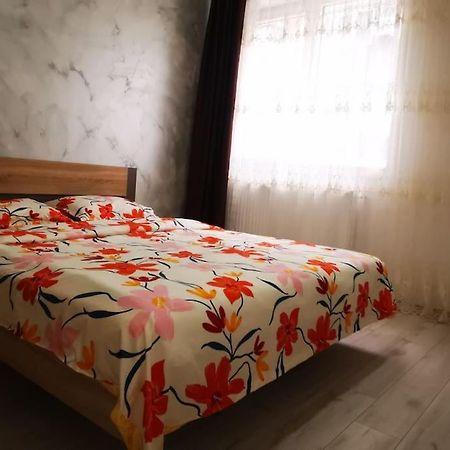 Two Bedroom Apartment Roşu Kültér fotó